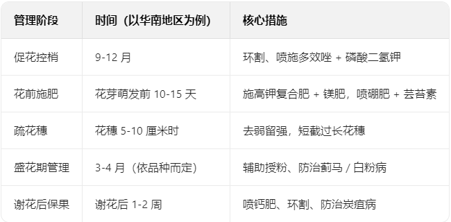 芒果?；ū９┘燎宓ィ约氨芸又改? width=