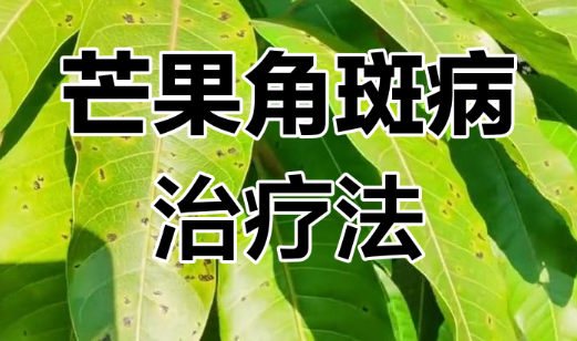 QQ20250618-164736.png